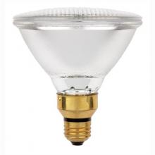 Flood Bulbs