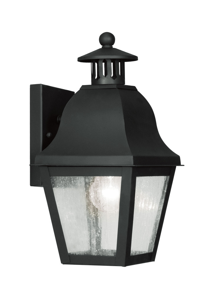 1 Light Black Outdoor Wall Lantern