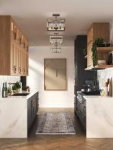 PROG_Hillcrest_Kitchen_Modern_transitional_P350264-163_3D_appshot.jpg