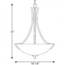 PROG_P3757dimensions_lineart.jpg