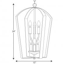 PROG_P3929dimensions_lineart.jpg