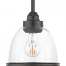 Progress P500137-020 - Saluda Collection One-Light Mini-Pendant