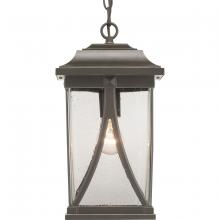 Progress P550040-020 - Abbott Collection One-Light Hanging Lantern