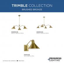 PROG_Trimble_Brushed_Bronze_1_GeneralLit.jpg