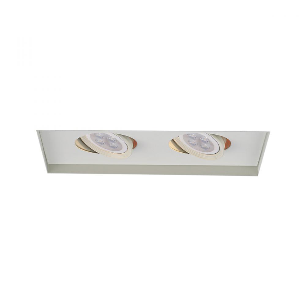 Low Voltage Multiple Invisible Two Light Trim