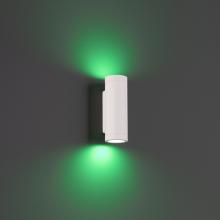 WAC Online 3911-CSWT - Smart Color Changing LED Landscape Wall Mount Cylinder