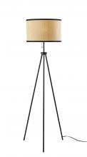 Adesso 3954-01 - Raven Floor Lamp