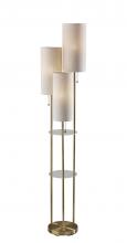 Adesso 4305-21 - Trio Floor Lamp