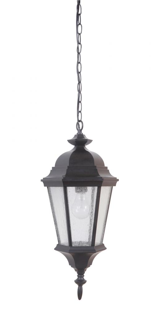 Chadwick 1 Light Outdoor Pendant in Midnight