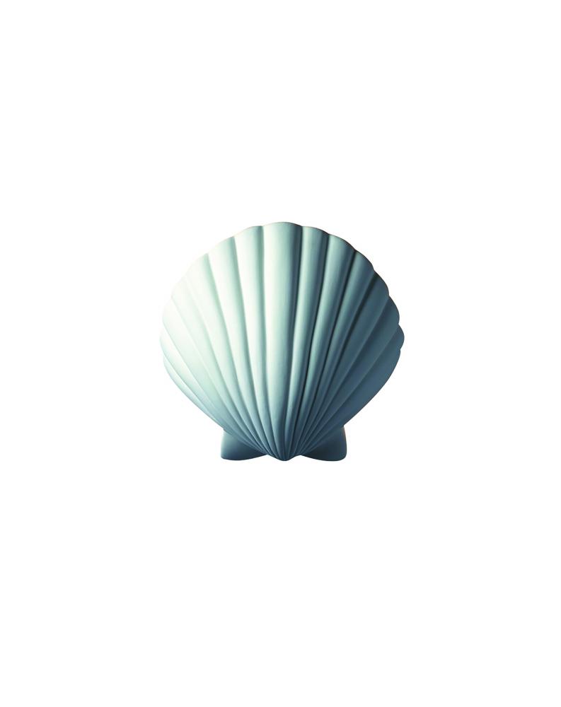 ADA Scallop Shell