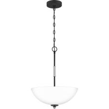 Quoizel CRD2816BN - Conrad Pendant