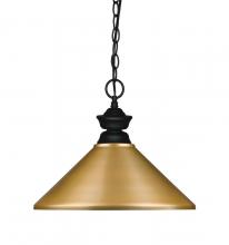 Z-Lite 100701MB-MSG - 1 Light Pendant