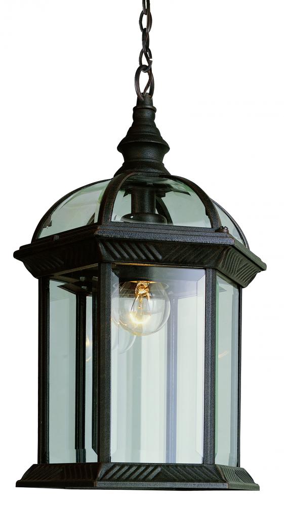 Wentworth 1-Light Atrium Style Outdoor Hanging Pendant