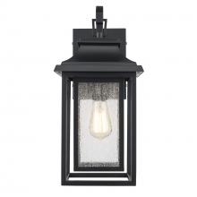 Trans Globe 51690 BK - Bosque 1 - Light Outdoor Wall Lantern