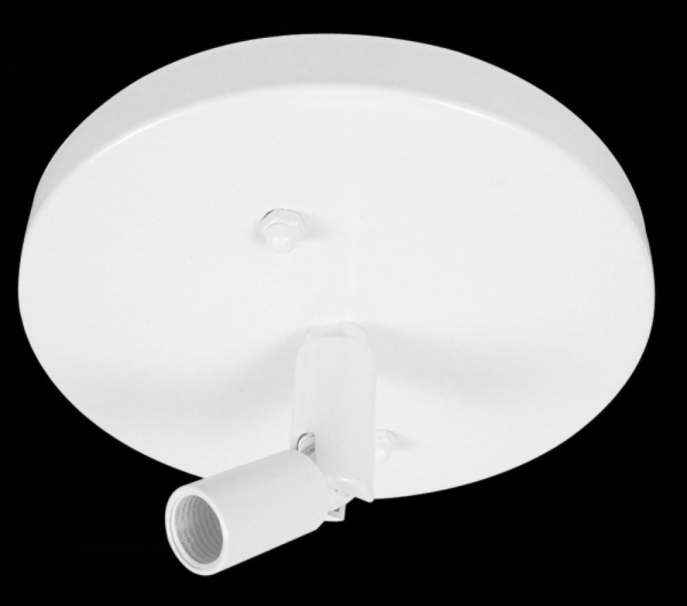 Sloped Ceiling Pendant Adapter Track Accessory