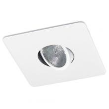 Elco Lighting EL2985W - 4" SQUARE TRIM PAR 20 GIMBAL