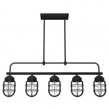 Hunter 19667 - Hunter Starklake Natural Black Iron 5 Light Chandelier Ceiling Light Fixture