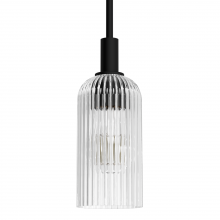 Hunter 13235 - Hunter Beverly Glen Matte Black with Clear Glass 1 Light Pendant Ceiling Light Fixture