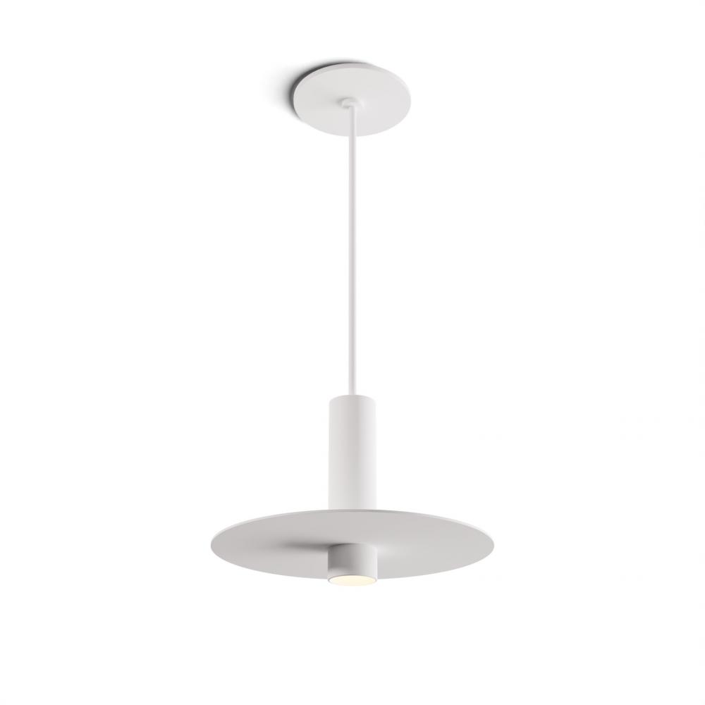 Combi Pendant 6" Single Unit Matte White with Matte White Canopy, 9" metal plate (White/Pain