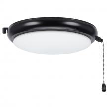 Kathy Ireland Home by Luminance Brands LK66WBQ - LUNA LIGHT KIT WET IN BARBEQUE BLACK