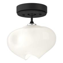 Hubbardton Forge 121372-SKT-10-10-FD0710 - Ume 1-Light Semi-Flush