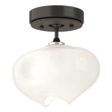 Hubbardton Forge 121372-SKT-14-05-FD0710 - Ume 1-Light Semi-Flush