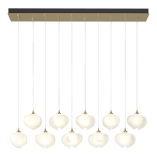 Hubbardton Forge 131203-SKT-STND-86-FD0710 - Ume 10-Light Pendant