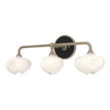 Hubbardton Forge 201342-SKT-84-10-FD0710 - Ume 3-Light Curved Arm Bath Sconce