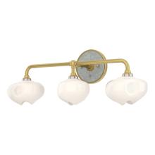 Hubbardton Forge 201342-SKT-86-82-FD0710 - Ume 3-Light Curved Arm Bath Sconce