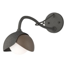 Hubbardton Forge 201377-SKT-20-05-GG0711 - Brooklyn 1-Light Double Shade Long-Arm Sconce