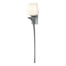 Hubbardton Forge 204710-SKT-LFT-82-GG0236 - Antasia Single Glass 1 Light Sconce