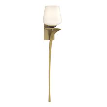 Hubbardton Forge 204710-SKT-RGT-86-GG0236 - Antasia Single Glass 1 Light Sconce