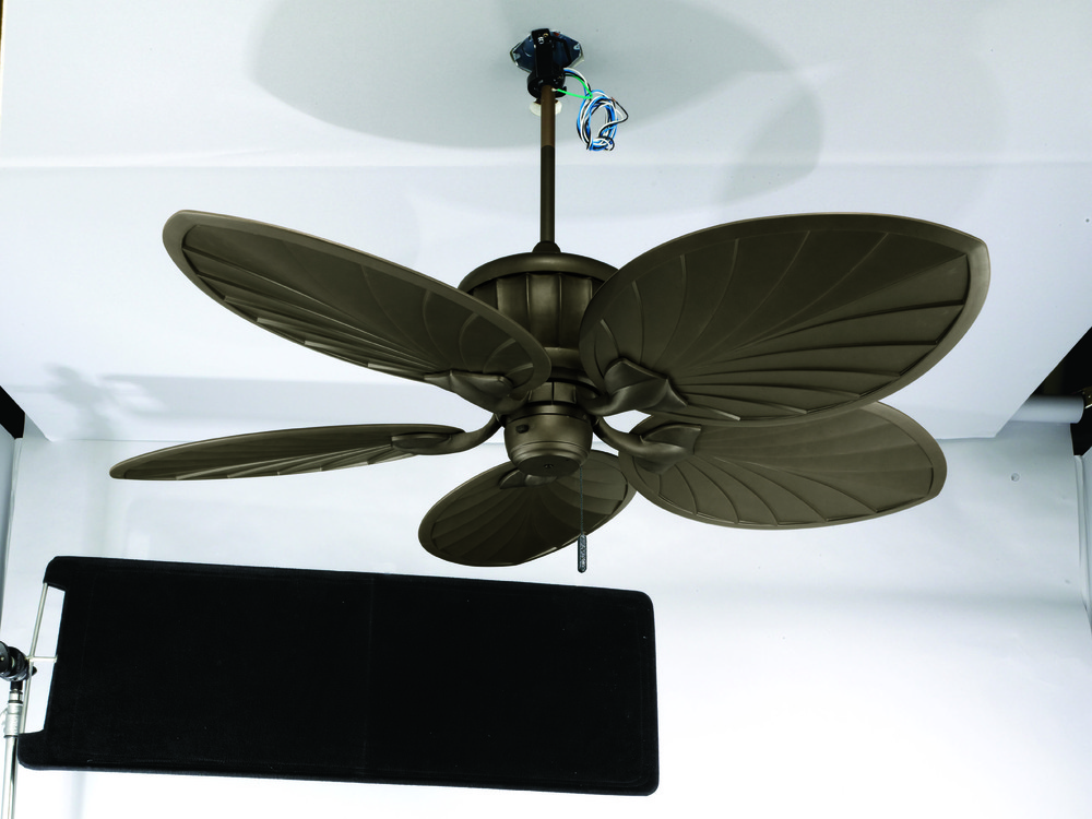 42" Countess Fan AC Motor 5 Blade