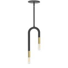 Dainolite WAN-152P-MB-AGB - 2LT Incandescent Pendant, MB & AGB