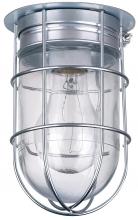 Canarm BL04CWG - Barn Lighting 1 Light Outdoor Lantern, Metal Finish