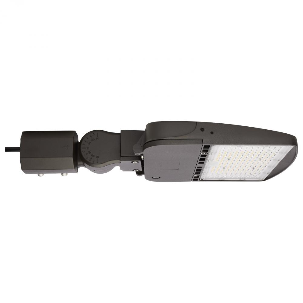 LED Area Light Type V; 100W; Bronze Finish; 4000K; 120-277V