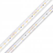 Diode Led DI-24V-BLBSC3-30-W100 - STRIP/TAPE LIGHT