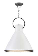 Hinkley 3555PT - Large Pendant