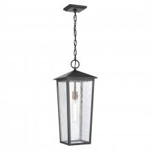 ELK Home 89474/1 - Marquis 22'' High 1-Light Outdoor Hanging Light - Matte Black