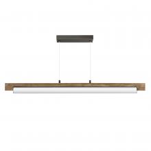  E24932-DWCHL - Joist-Linear Pendant